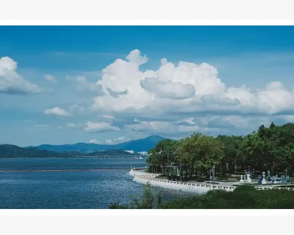 告别脾胃不佳的坏习惯，重塑健康生活！