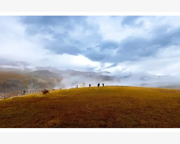 通过白胡椒煮什么汤驱寒