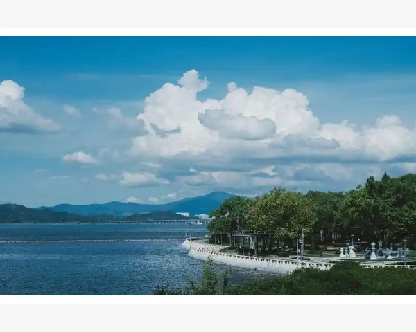 健脾胃祛湿粥的制作方法与功效