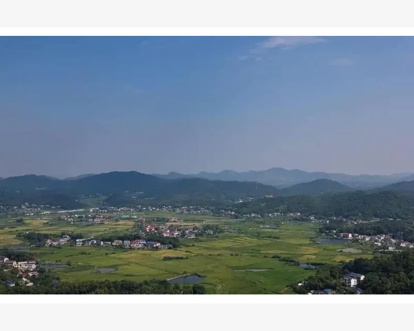 特效中药止泻方剂——百病便秘告别之路