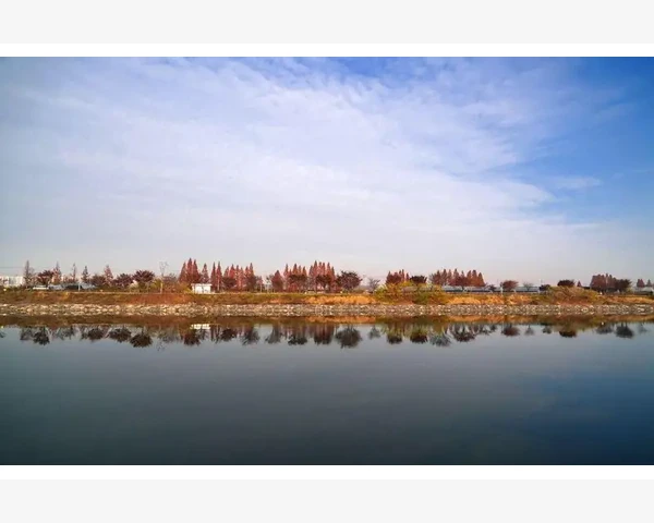 特效化痰止咳口服液：中医科普，让你了解这款神奇的呼吸道护理药品